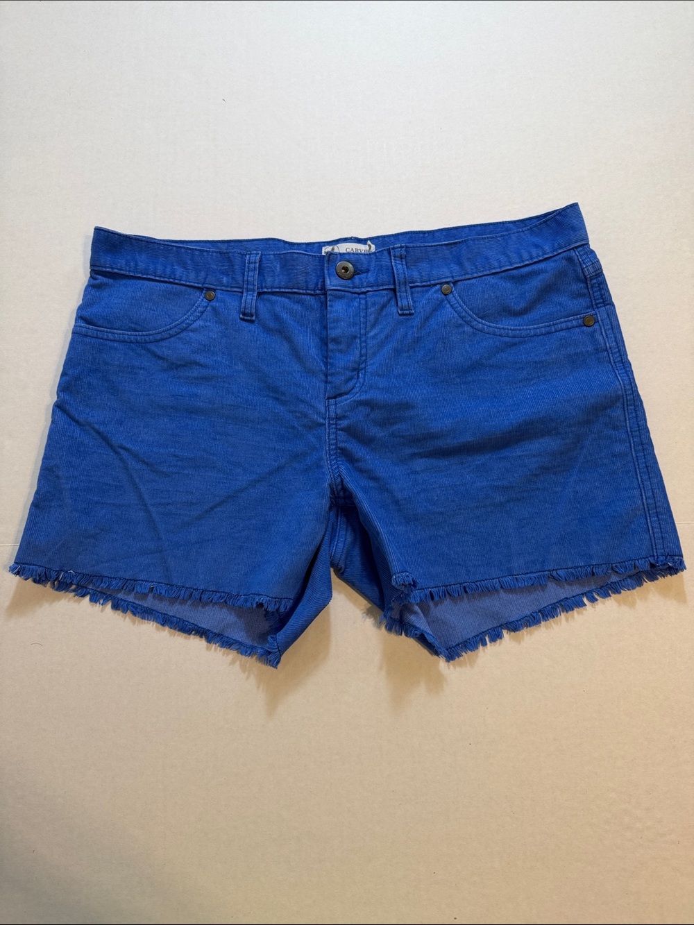 Women’s Carve Designs Oahu Shorts 4”